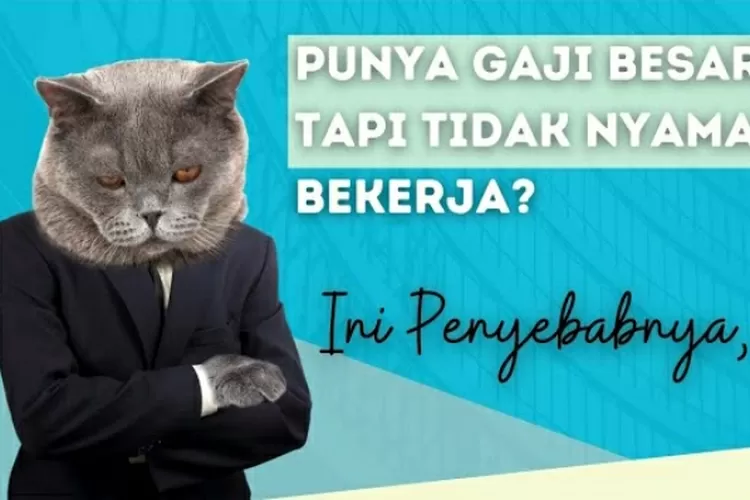 Gaji Kamu Besar Tapi Masih Enggak Bahagia Ternyata Ini 5 Penyebab Gaji