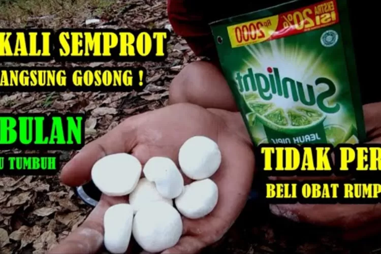 Cara Membuat Racun Pembasmi Rumput Dari Bahan Sederhana Sekali Semprot