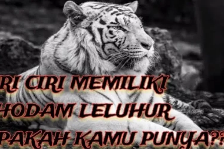 Ciri-Ciri Khusus Orang Yang Memiliki Khodam Leluhur: Mungkin Saja Kamu ...