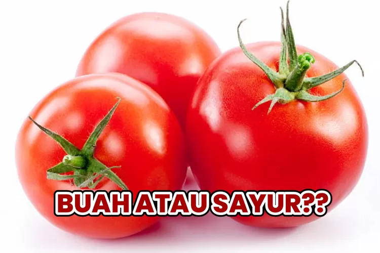 Terungkap! Perdebatan Tomat Itu Buah Atau Sayur? Ternyata Begini ...