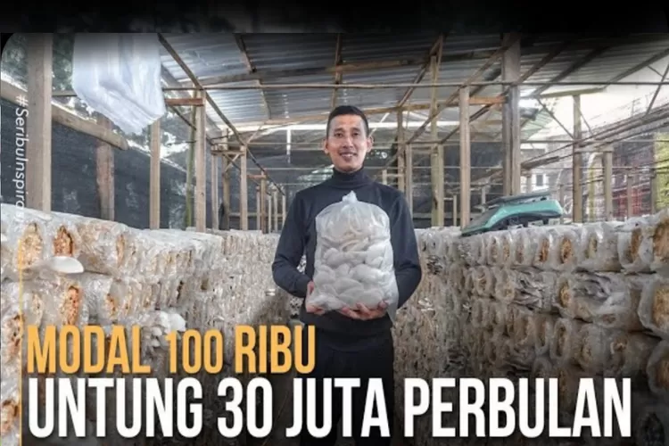 Ahmad Adli Budidaya Jamur Tiram Modal 100 Ribu Bisa Tembus Omset 30