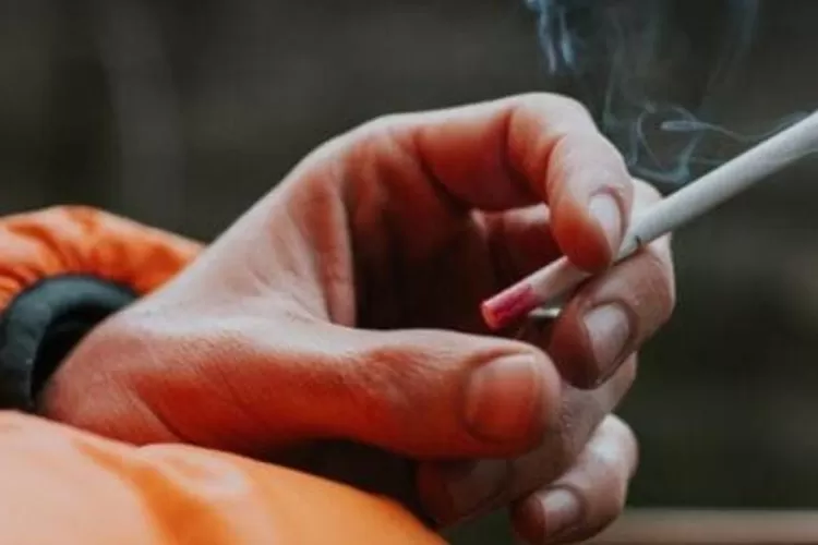 Penelitian Menunjukkan Berhenti Merokok Langsung Memperpanjang Harapan Hidup