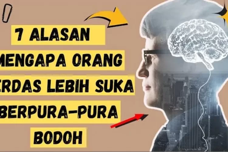 7 Cara Mengenali Ciri-ciri Orang Yang Sebenarnya Sangat Cerdas Tapi ...