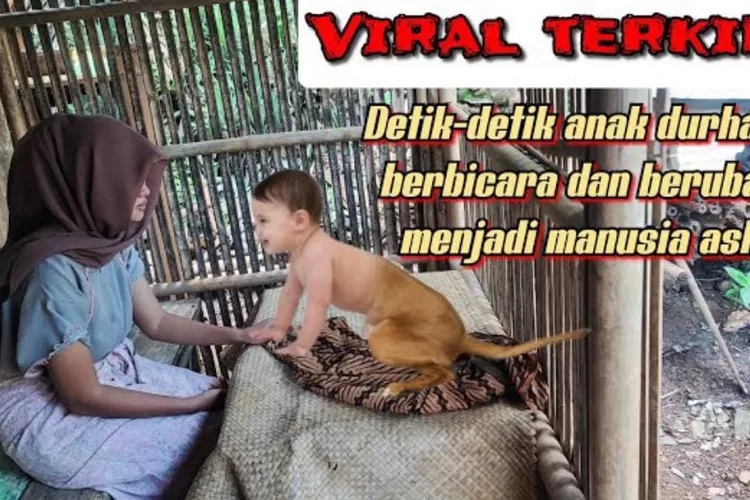 Viral! Detik-detik Anak Durhaka Yang Berubah Jadi Anjing, Bisa ...