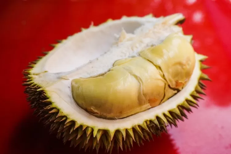 Makanan yang Tidak Boleh Dimakan bersama Durian (Pixabay )