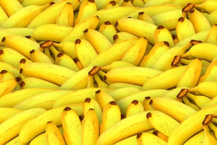 Makan buah Pisang secara berlebihan ternyata memiliki efek samping loh! (Pixabay )
