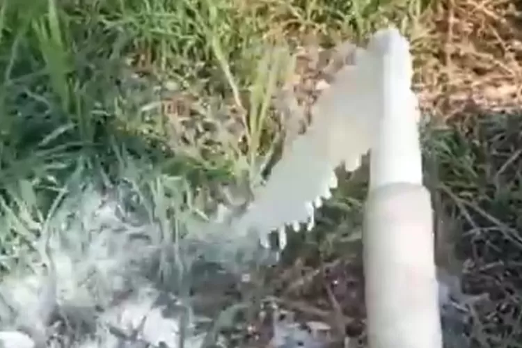 peternak di Jawa Timur Buang Susu Sapi setelah di Panen (Istimewa)