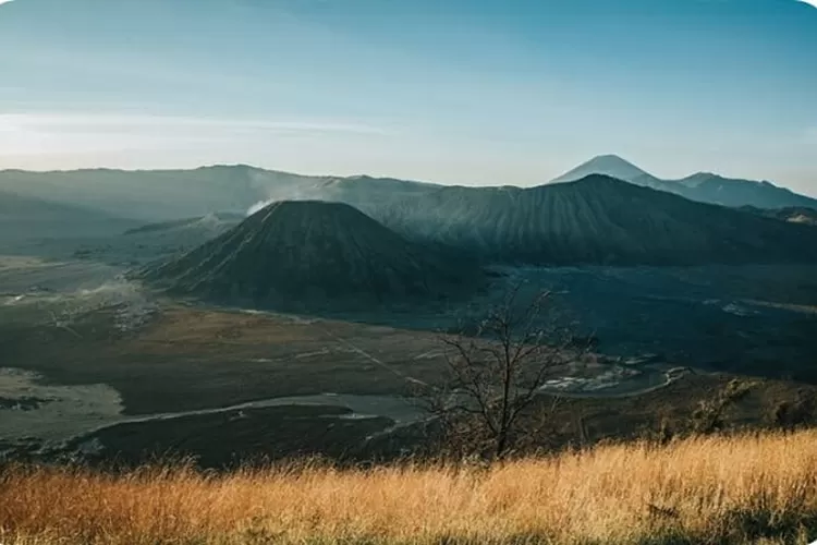  Ilustrasi tempat angker di Kuningan (Freepik.com/wirestock  )