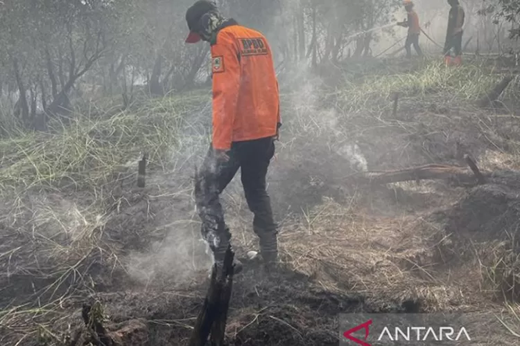 Karhutla Di Kalsel Landa 1 Kota Dan 6 Kabupaten, Total Capai 163 ...