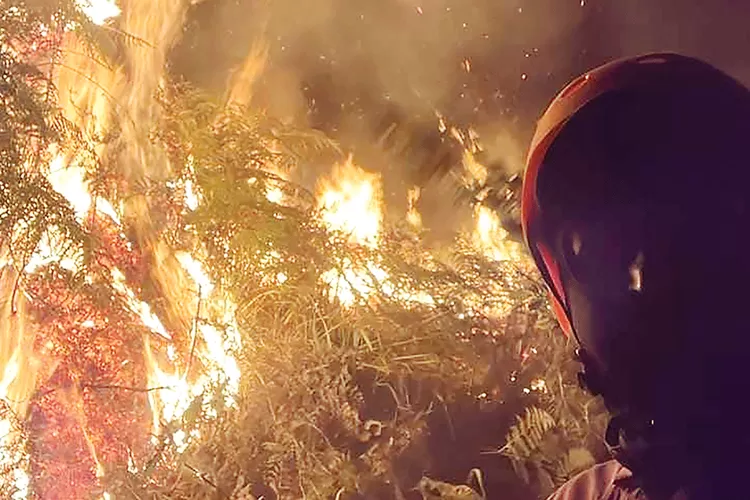 Pemadaman Kebakaran Gunung Bromo Kerahkan Petugas Darat, Water Bombing ...