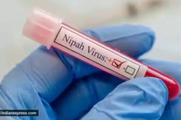 Mulai Menelan Korban Di India, Virus Nipah Jadi Perhatian Publik Dunia ...