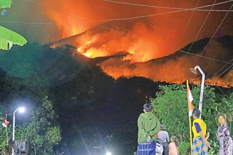 Kebakaran Hutan Di Gunung Lawu, Api Bergerak Ke Puncak, Hari Ini BNPB ...