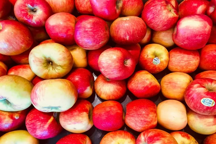 Wajib Tahu! 4 Manfaat Luar Biasa Buah Apel untuk Membuat Kulit Anda Terlihat Cantik dan Sehat