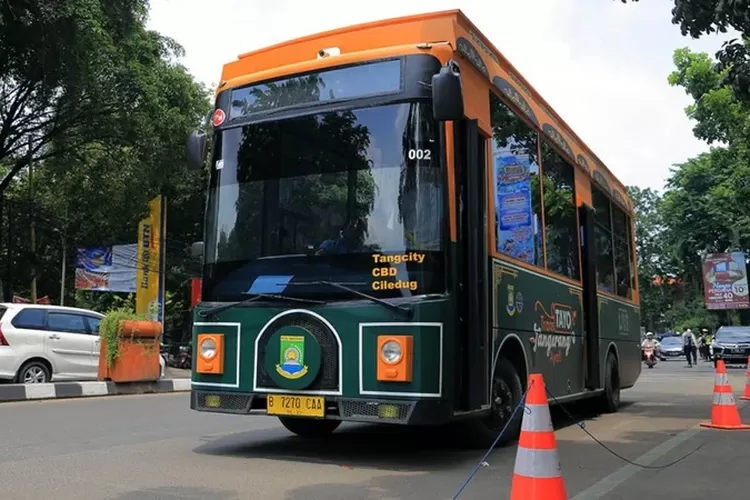 Kenalan Dengan Bus Tayo Dan Si Benteng, Transportasi Umum Kota ...