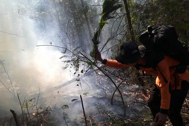 Kebakaran Hutan Di Gunung Arjuno Terus Meluas, Kaji Penggunaan ...