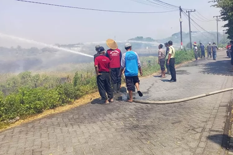 Kebakaran Lahan Masih Mengancam Di Pasuruan Radar Bromo 1127