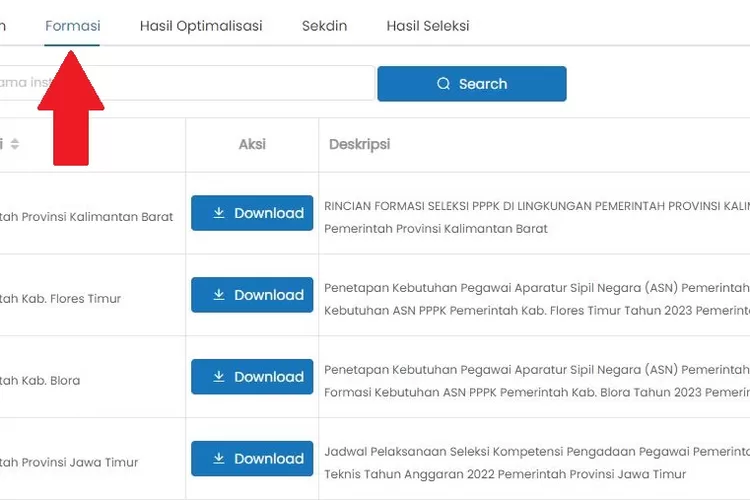 Link Formasi PPPK 2023 Seluruh Instansi Pusat Dan Daerah Kabupaten Dan ...