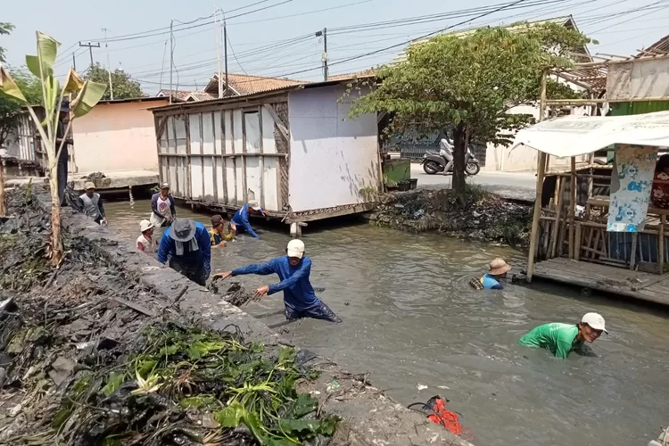 Pemkab Karawang Perbaiki Irigasi Untuk Atasi Kekeringan Di Lahan ...