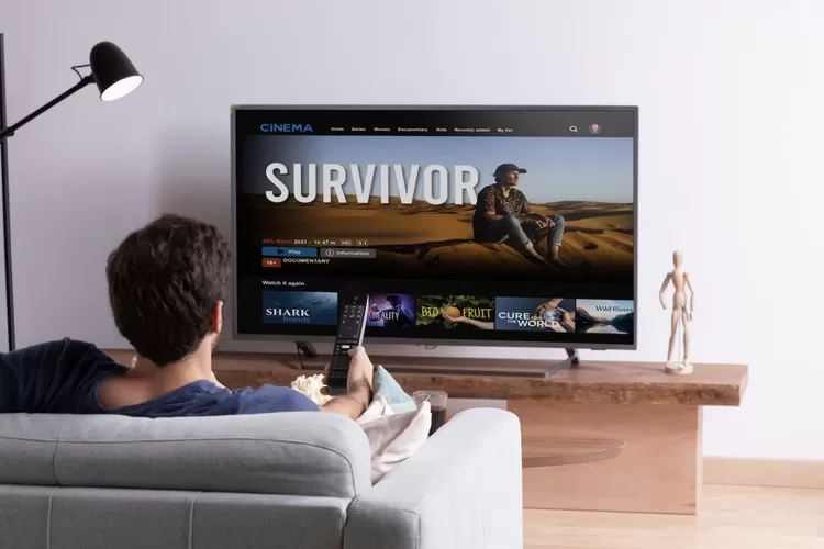 Perbedaan Android Tv Vs Smart Tv Kamu Pilih Yang Mana Pojok Satu