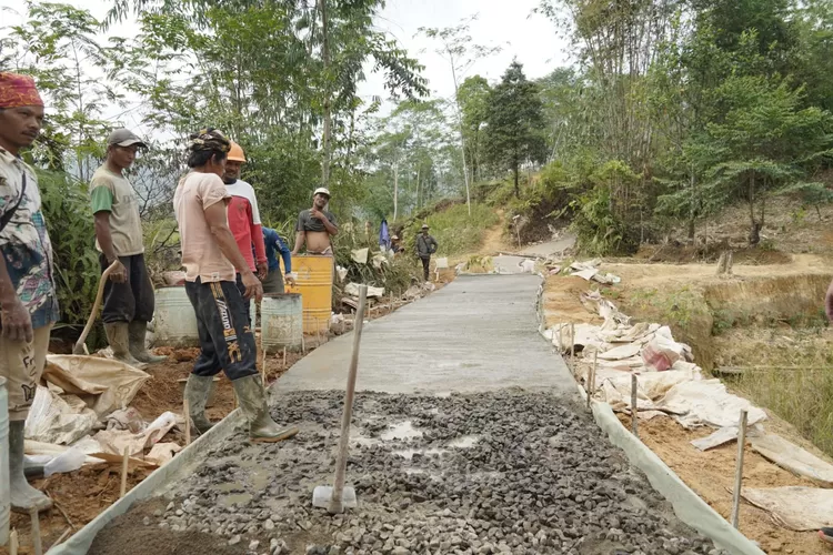 Jalan Usaha Tani Upland Kementan Tingkatkan Produktivitas Petani Tersebar Di Kabupaten