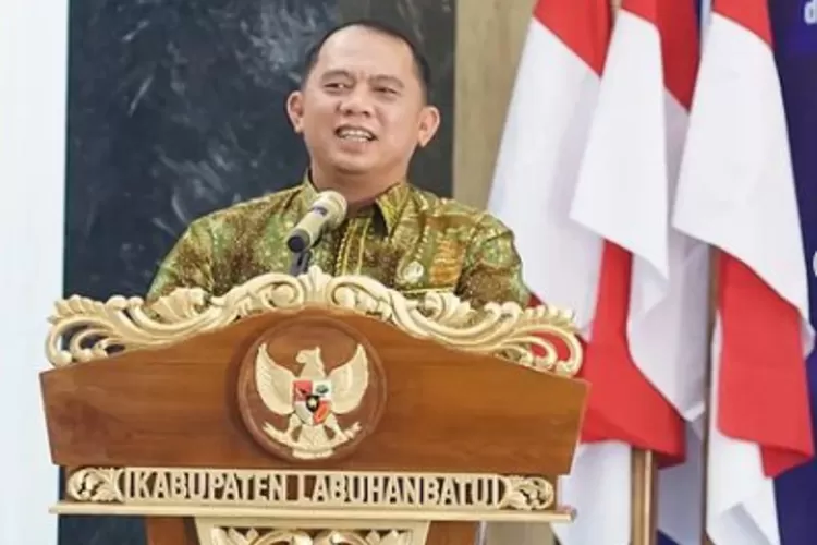 Profil Erik Adtrada Ritonga, Bupati Labuhanbatu Yang Terjerat OTT KPK ...