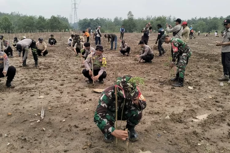 Kodim 0604 Karawang Tanam Pohon Dan Bersihkan Sungai - Pojok Satu