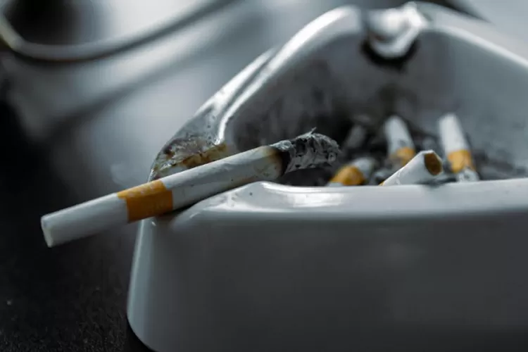 Bahaya Menghirup Asap Rokok Orang Lain, Ancaman Serius bagi Kesehatan ...