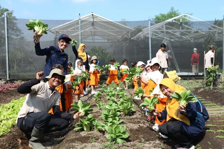 Nara Kupu Jogja Gelar Edukasi Bercocok Tanam untuk Semua Usia