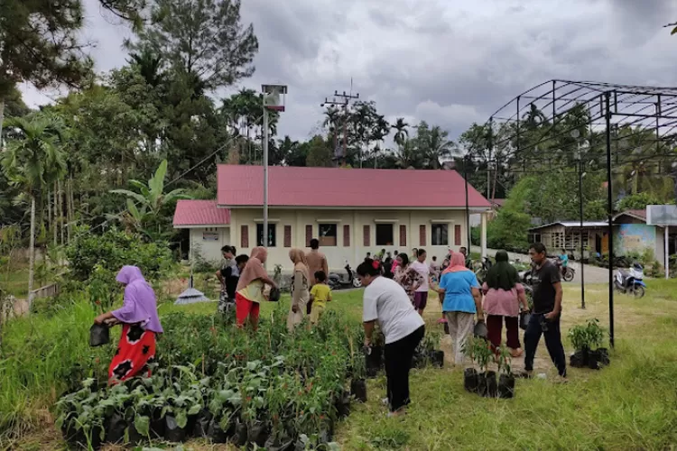 Tiga Prioritas Penggunaan Dana Desa 2024, Bantuan Langsung, Stunting ...