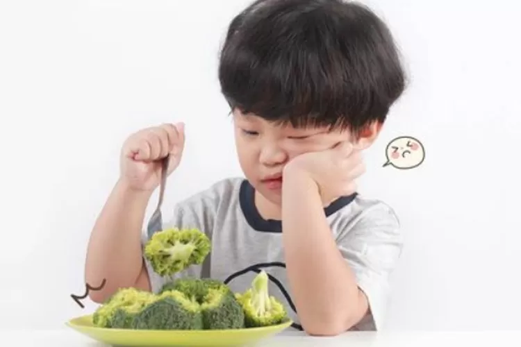 7 Tips Mengatasi Anak Yang Susah Makan, Orang Tua Wajib Tahu - Akurat