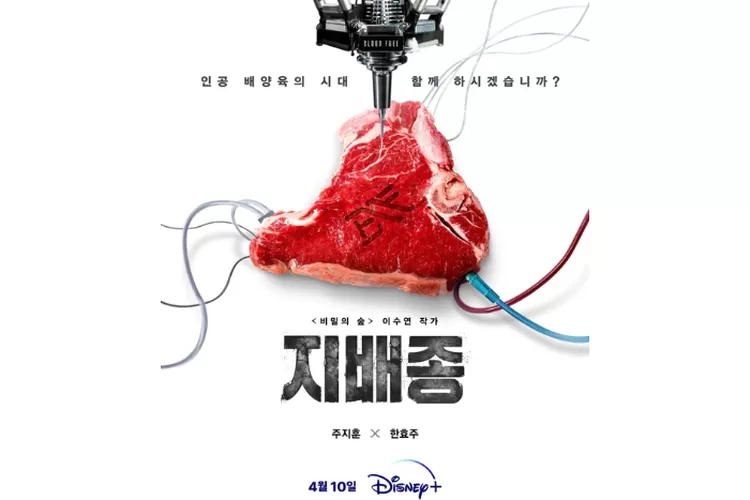 Sinopsis Blood Free, Drama Korea Thriller yang Dibintangi Han Hyo Joo ...