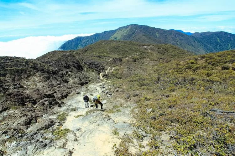 Misteri Dan Keindahan Alam Gunung Latimojong Eksplorasi Alam Serta