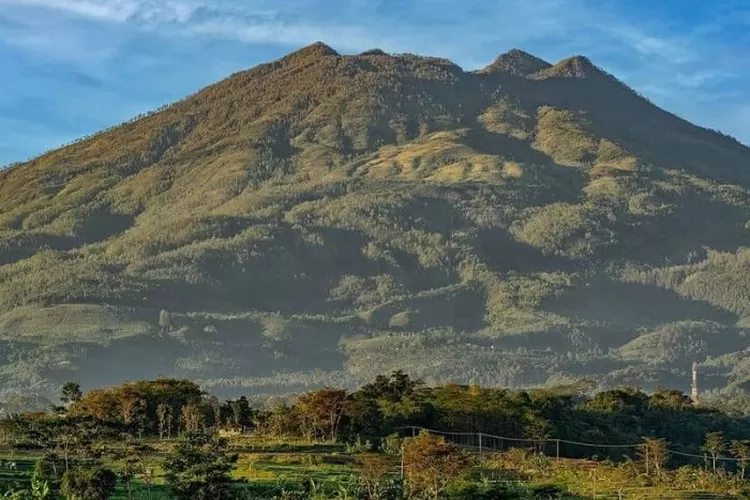 Misteri Pasar Setan Di Gunung Lawu: Sebuah Cerita Pengalaman Horor Dan ...