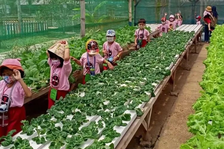 Musim Liburan Sekolah Sebentar Lagi, Wisata Edukasi Di Bandung Ini Bisa ...