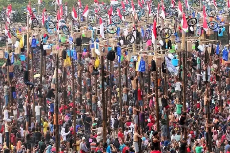 Panjat Pinang Lomba Paling Populer Saat An Ternyata Sejarahnya Memilukan Prokal