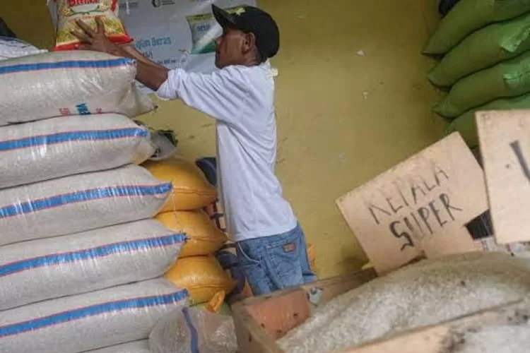 268 Kabupaten dan Kota, Harga Beras Naik, Petani Diminta Tidak Risau dan Khawatir Tentang Pupuk