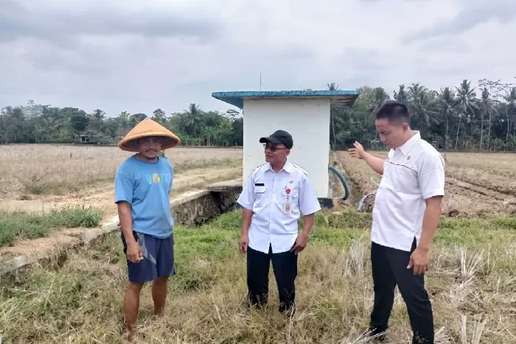 Kemarau Panjang 150 Hektar Lahan Pertanian Desa Cilapar Siap Tanam