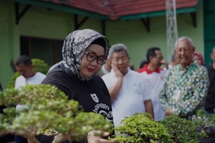 Pameran Bonsai Dan Kontes Bonsai Sragen 2024 : Berdayakan Potensi Lokal ...