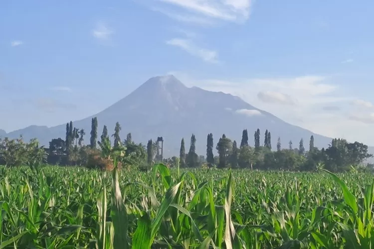 Aktivitas Gunung Berapi di Indonesia Meningkat, Sultan HB X Imbau Warga Tingkatkan Kewaspadaan. Berharap Gunung Merapi Tetap Berstatus Siaga