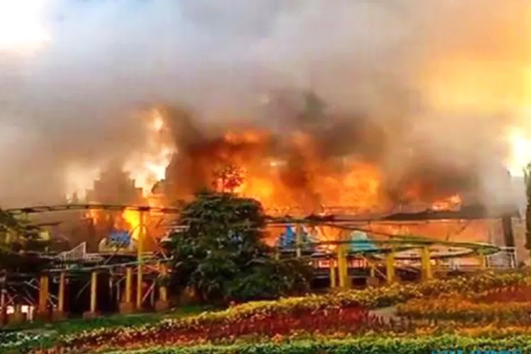 Heboh Taman Wisata Bunga Celosia Kebakaran, Ternyata Ini Penyebabnya