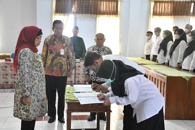 Contoh Penulisan Deskripsi Pengalaman Kerja Pppk Teknis Di Berbagai Posisi Pojok Baca