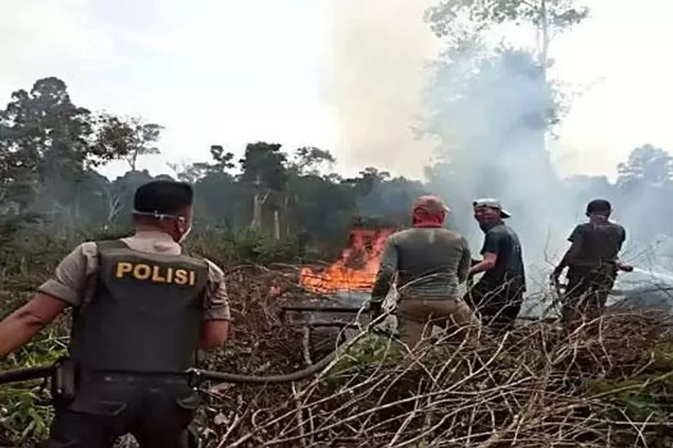 Titik Api Muncul Di Tiga Lokasi Wilayah Kota Dumai Joko Personel