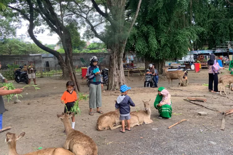 Nikmati Libur Natal Dan Tahun Baru Cuma Dengan Rp Ribu Taman