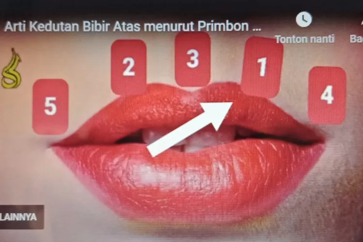 Arti Kedutan Bibir Atas Menurut Primbon Jawa Pujian Atau Ancaman Gorontalo Post 0746