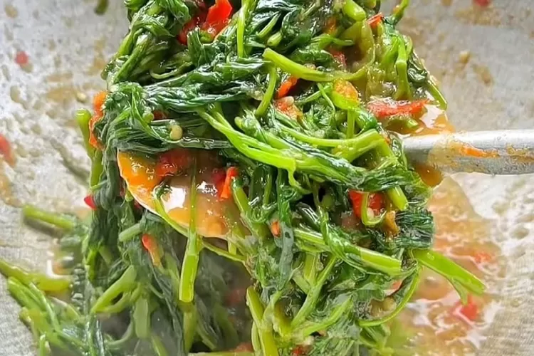 Resep Tumis Kangkung Terasi Masakan Simpel Dan Enak Penggugah Selera Simak Tuntas Resep