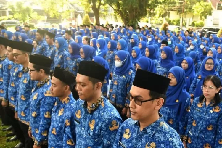 Adakah Perbedaan Pengangkatan Batas Usia Antara Pns Dan Pppk Simak