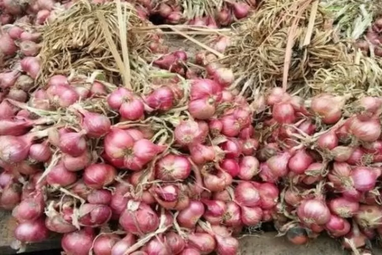 Harga Bawang Merah Tembus Rp 80 000 Kg Mendag Tegaskan Tak Akan Impor Dari Negara Lain Simak