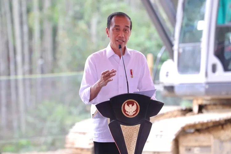 Biografi Joko Widodo: Perjalanan Karier Menuju Presiden Indonesia ...