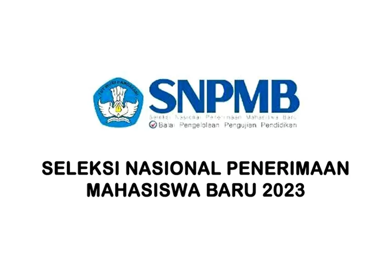 Registrasi Akun Snpmb Diperpanjang Hingga Februari