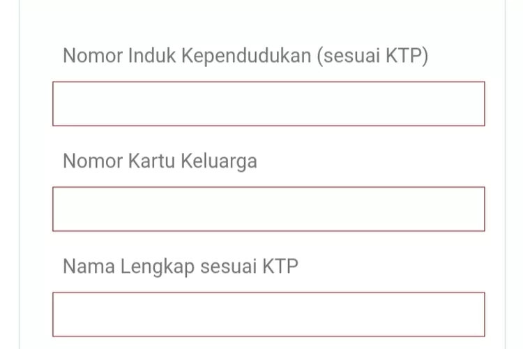 Langkahlangkah serta Cara Buat Akun SSCASN CPNS 2024, Laman Tempat